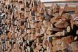 heizen mit holz,holz heizung