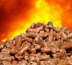 pelletofen,förderung,zuschuss,holzheizung,pelletsheizung,holzvergaser,holzvergaserkessel,pelletsofen,scheitholzkessel,holzkessel